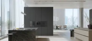 gaggenau backofen gaggenau-serie-minimalistic-einbaugeraete